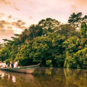 Tambopata National Reserve & Sandoval Lake 2D/1N