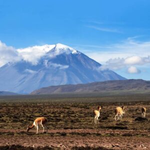 PRIVATE - Aguada Blanca & salineras