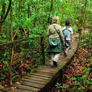 Tambopata National Reserve & Sandoval Lake 4D/3N