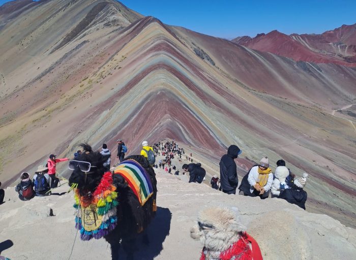 Imagen de WhatsApp 2025-08-18 a las 15.02.15_fa568b59