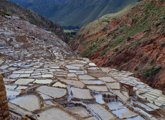 Imagen de WhatsApp 2025-08-18 a las 15.03.19_baa8d0ed