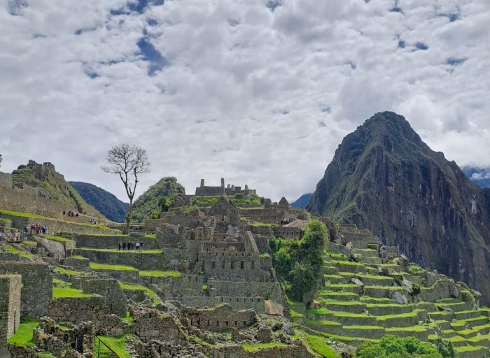 Imagen de WhatsApp 2025-08-18 a las 15.03.23_dea13945