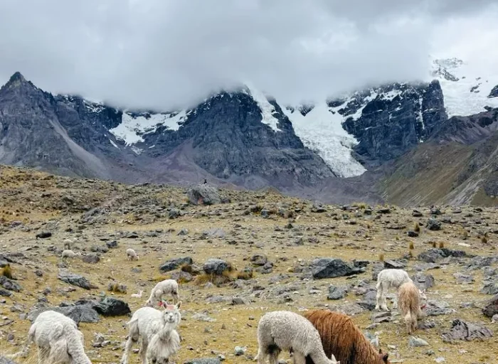 Magical Peru 🇵🇪