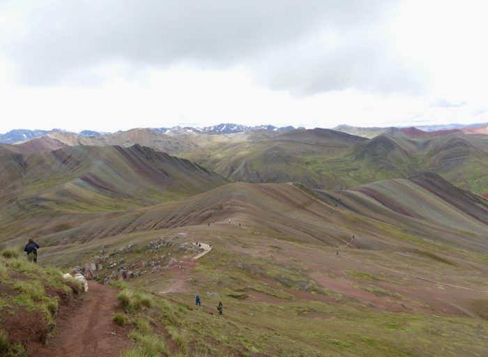 PHOTO-2025-04-04-17-49-49 5