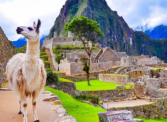 WhatsApp Image 2018-10-15 at 16.20.41