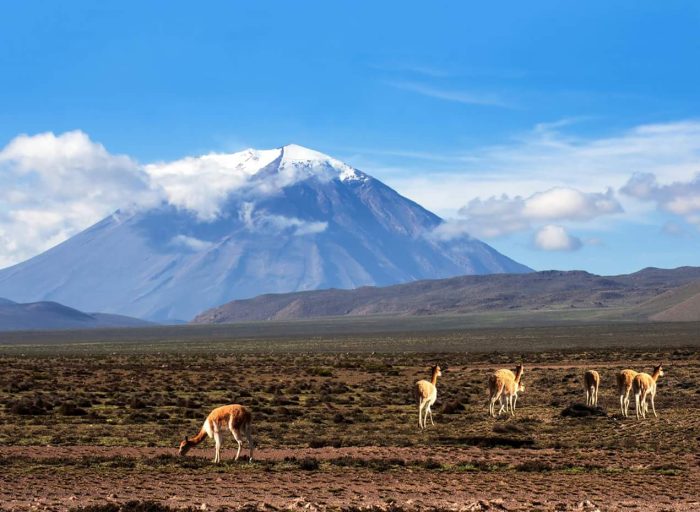 WhatsApp Image 2018-10-22 at 12.36.44