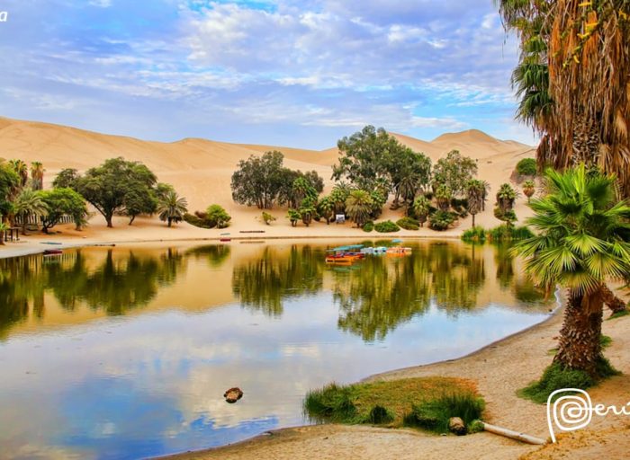 WhatsApp Image 2018-10-23 at 15.28.58 (2)