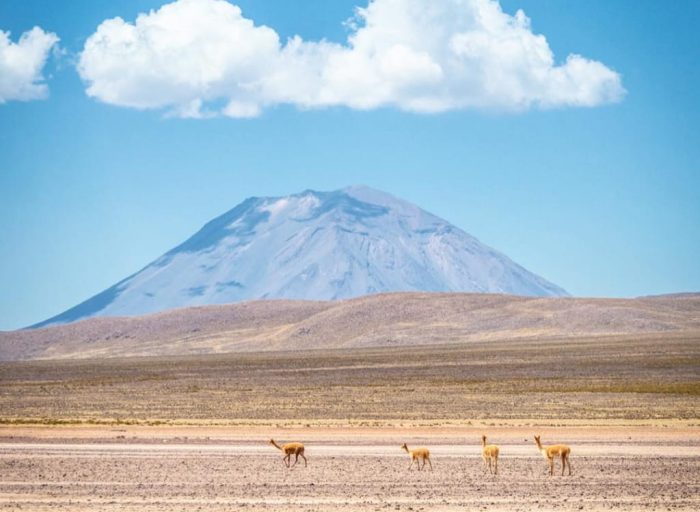 WhatsApp Image 2018-12-10 at 21.11.12 (2)