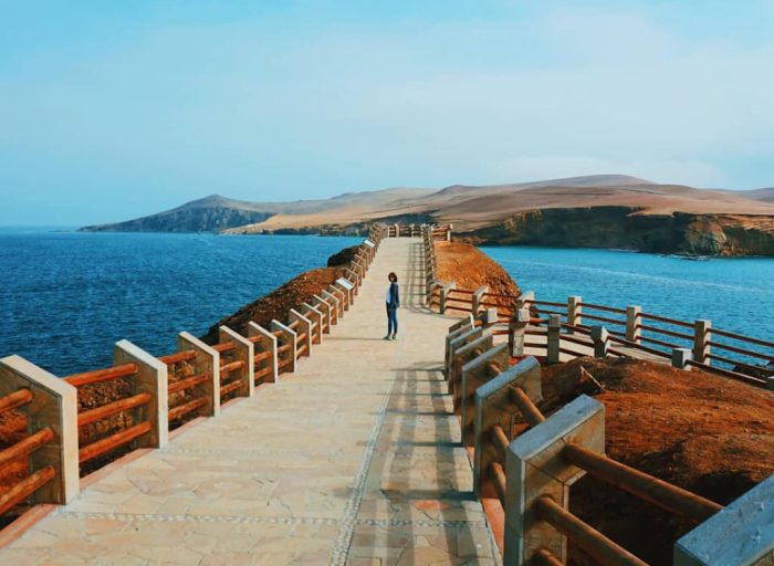 WhatsApp Image 2018-12-15 at 16.13.24