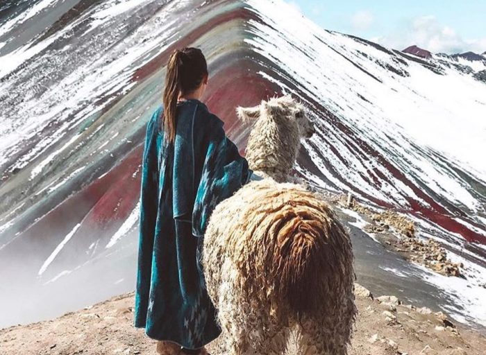 WhatsApp Image 2019-02-15 at 17.51.16 (2)