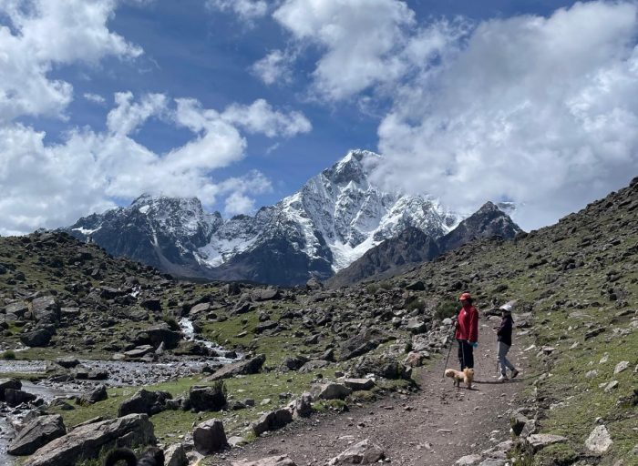 WhatsApp Image 2025-02-18 at 17.43.48