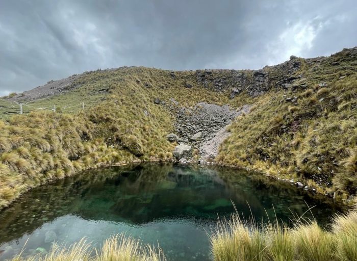 WhatsApp Image 2025-02-18 at 17.47.19 copy