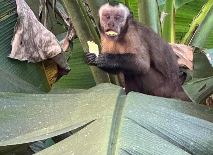 WhatsApp Image 2026-03-21 at 17.12.25 (1)