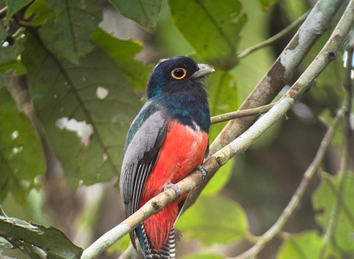 WhatsApp Image 2026-03-21 at 17.12.25 (11)