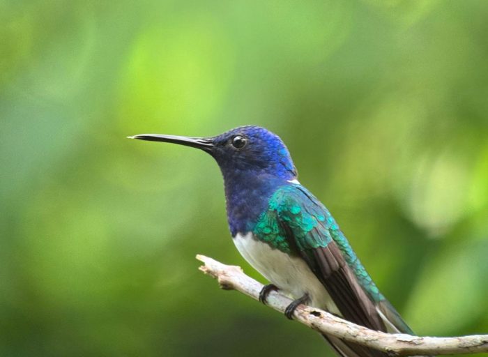 WhatsApp Image 2026-03-21 at 17.12.25 (15)