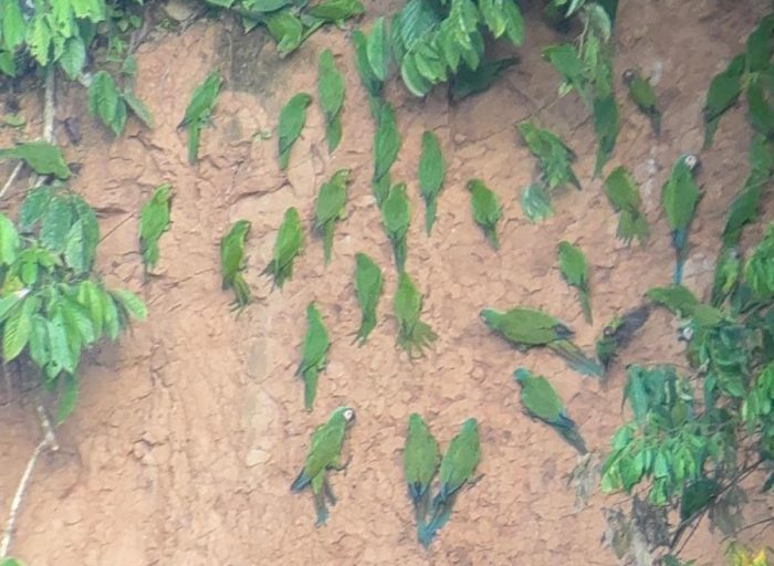 WhatsApp Image 2026-03-21 at 17.12.25 (2)