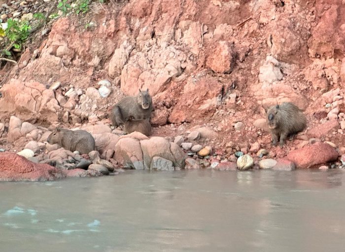 WhatsApp Image 2026-03-21 at 17.12.25 (5)