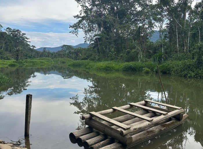 WhatsApp Image 2026-03-21 at 17.12.25 (6)