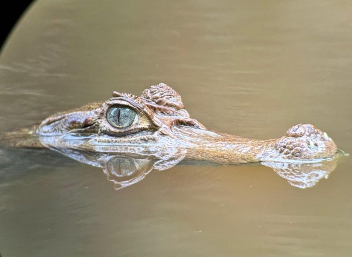 WhatsApp Image 2026-03-21 at 17.12.25 (7)