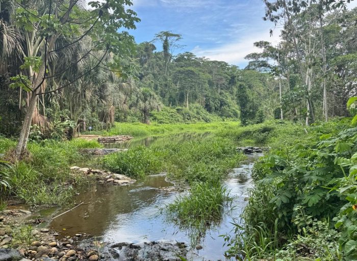 WhatsApp Image 2026-03-21 at 17.12.25 (8)