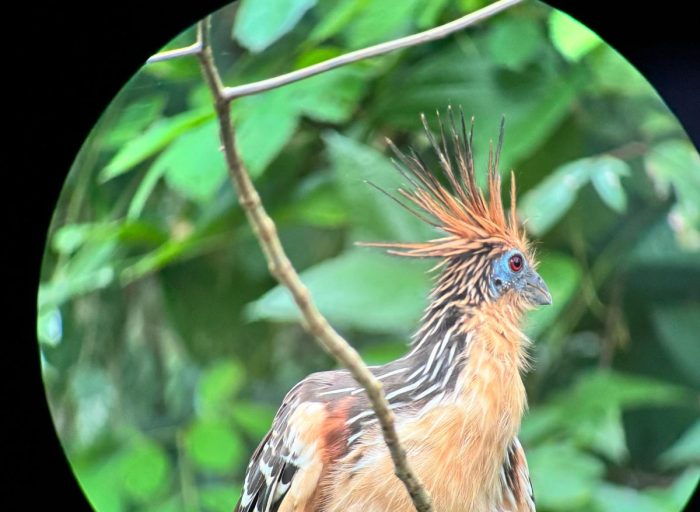 WhatsApp Image 2026-03-21 at 17.12.25 (9)