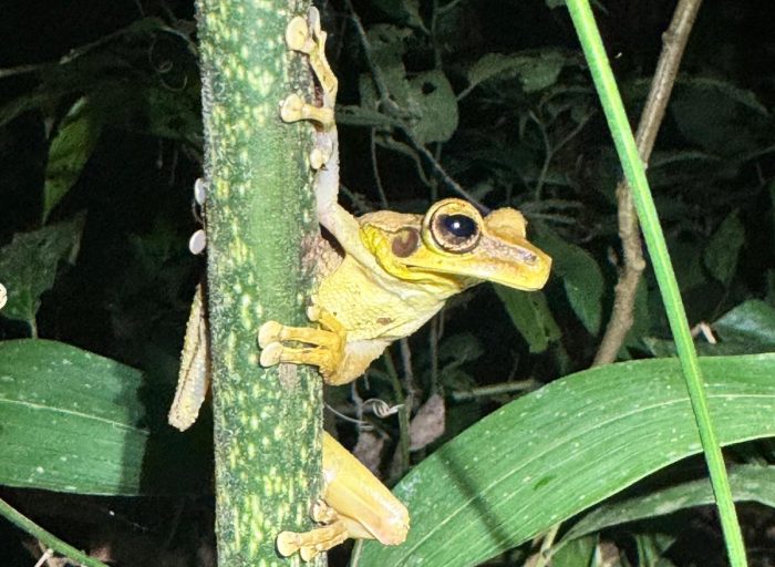 WhatsApp Image 2026-03-21 at 17.12.25