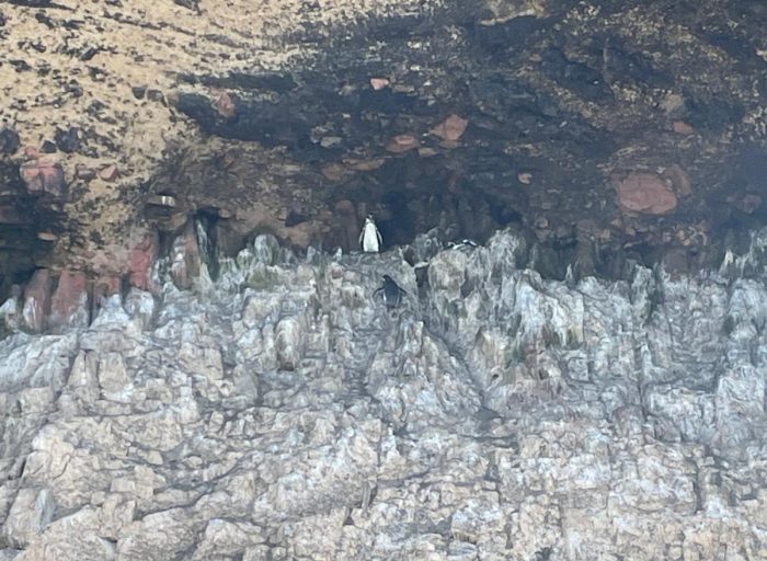 WhatsApp Image 2026-03-21 at 19.18.14 (3)