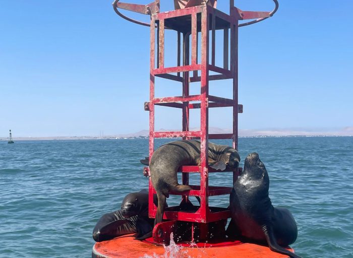 WhatsApp Image 2026-03-21 at 19.18.14 (6)