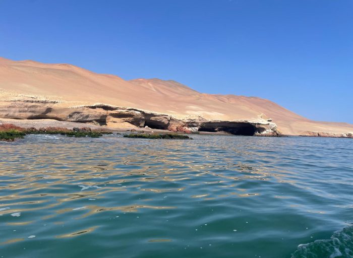 WhatsApp Image 2026-03-21 at 19.18.14