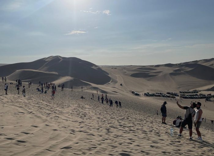 WhatsApp Image 2026-03-21 at 19.18.53 (2)