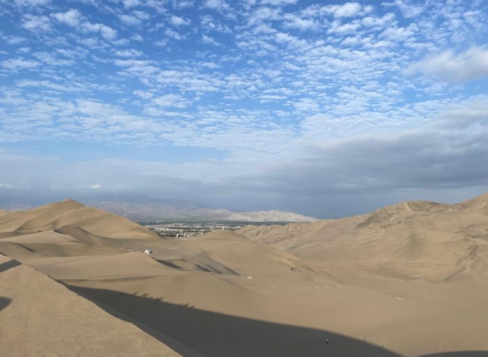 WhatsApp Image 2026-03-21 at 19.18.53 (4)