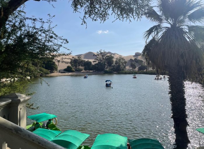 WhatsApp Image 2026-03-21 at 19.18.53