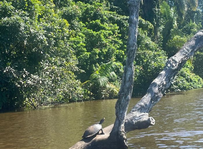 WhatsApp Image 2026-03-21 at 21.44.14 (1)