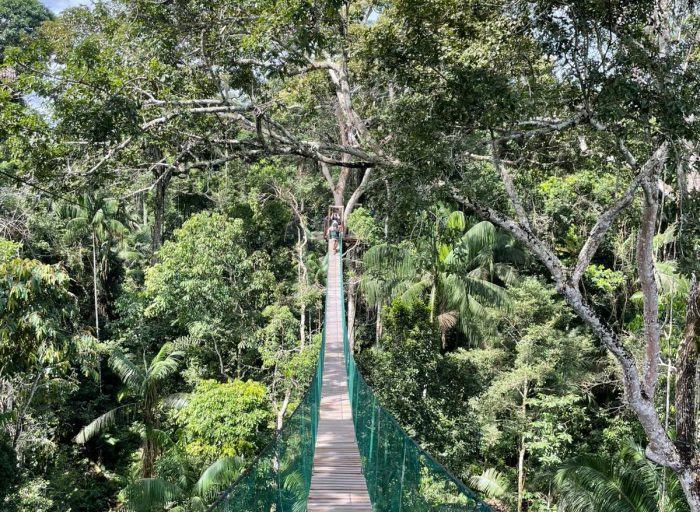 WhatsApp Image 2026-03-21 at 21.44.14