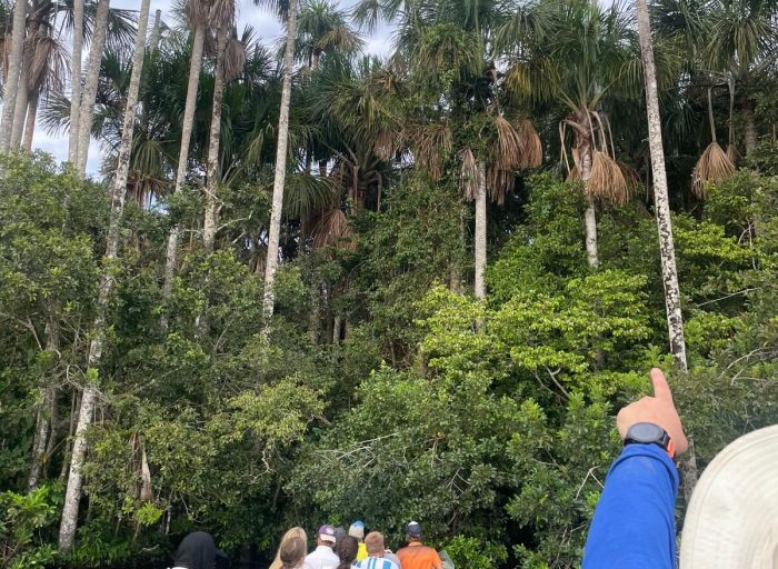 WhatsApp Image 2026-03-21 at 21.48.42 (1)