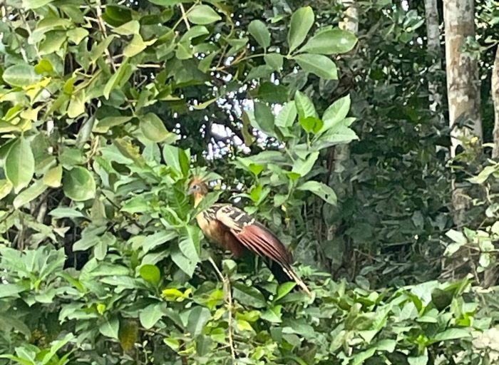 WhatsApp Image 2026-03-21 at 21.48.42 (2)