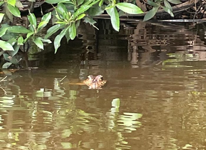 WhatsApp Image 2026-03-21 at 21.48.42 (3)