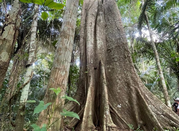 WhatsApp Image 2026-03-21 at 21.48.42