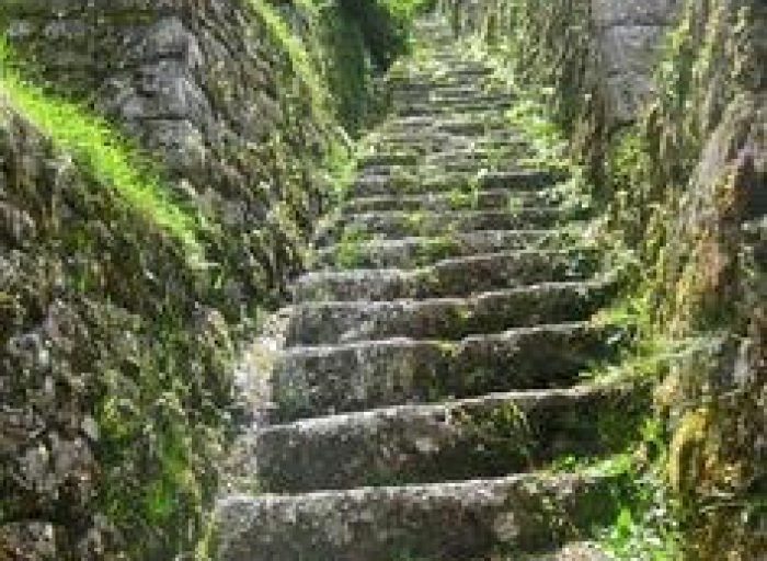 ed78d1ec96c84284fb47c4cd3f4bb4c2