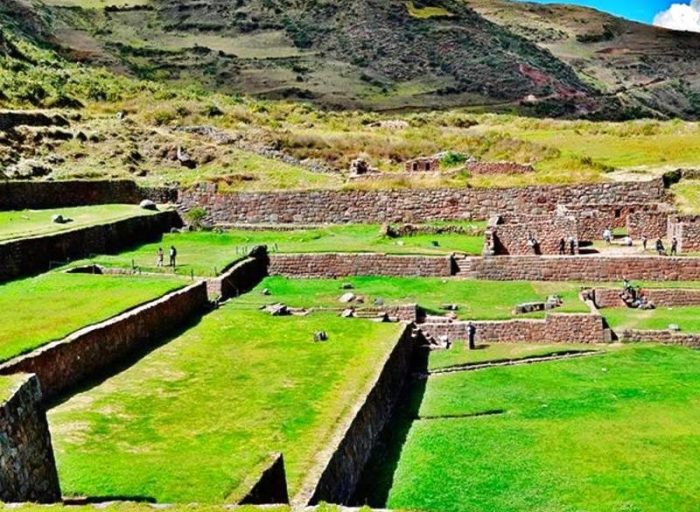 optimized_tipon-cusco