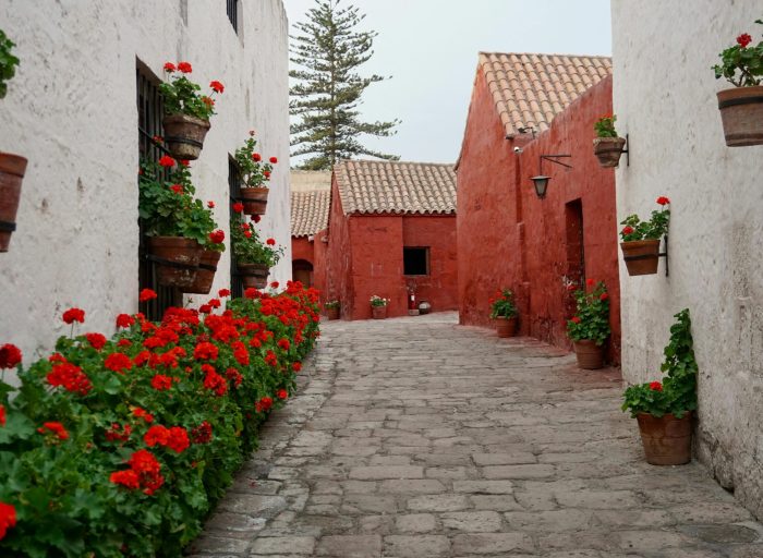 pexels-curatedpassagetravel-7473164