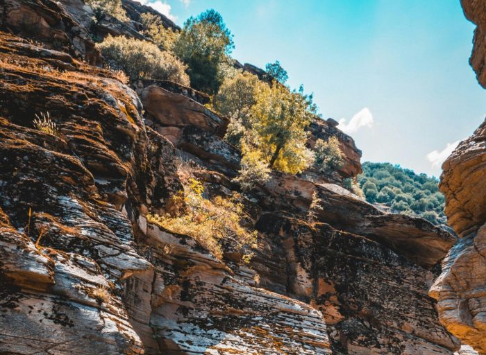 pexels-fromsalih-32471632