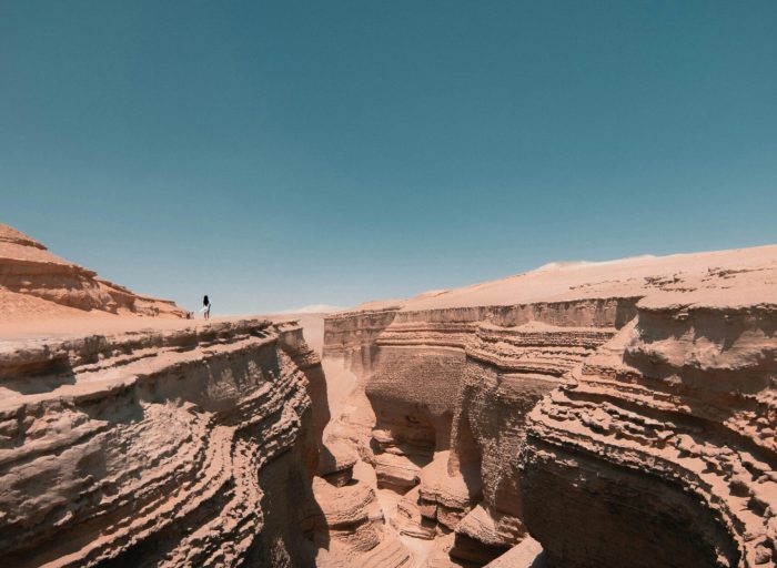 pexels-lyon-17294255