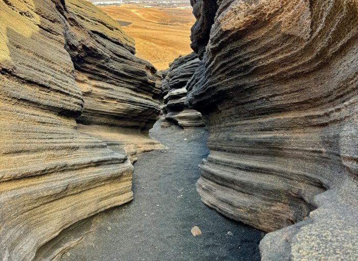 pexels-miguel-rivera-2150485053-32756597