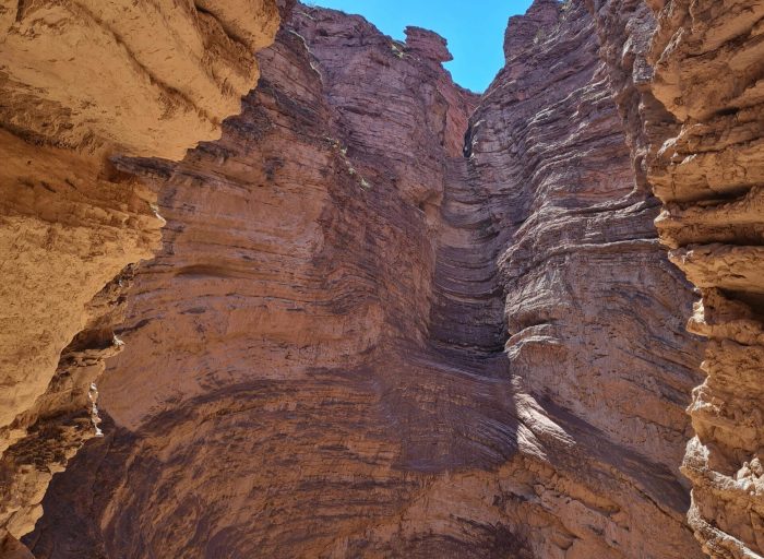 pexels-sandriany-16963927