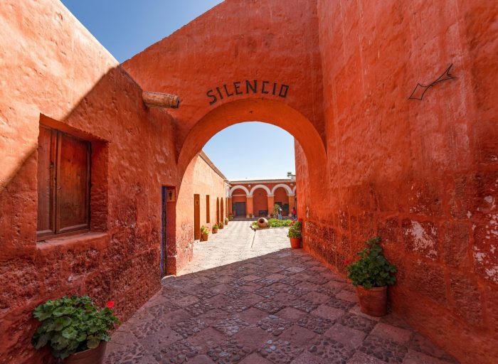 pexels-sbenavides-17043614