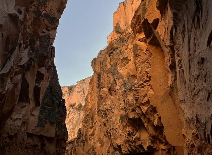 pexels-zena-14443207