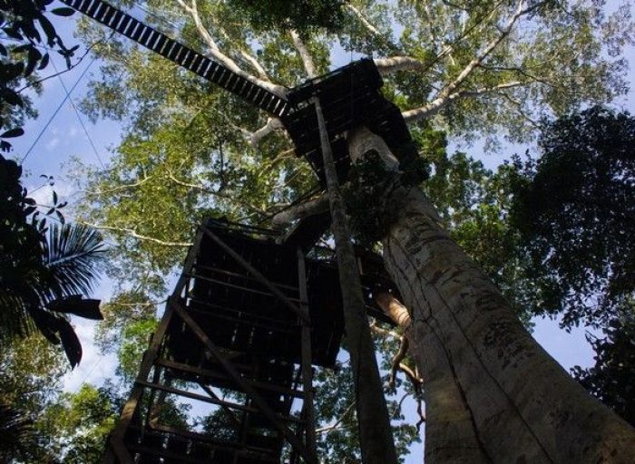 reserva-tambopata-rio-madre-de-dios-peru