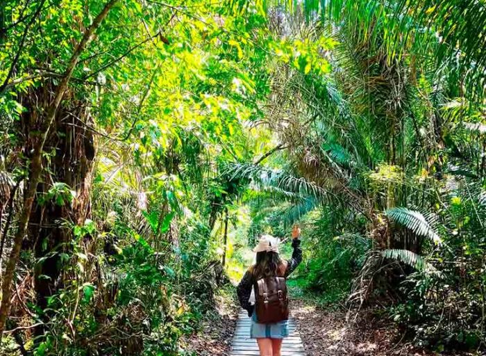 tour-tambopata-4d-6-media